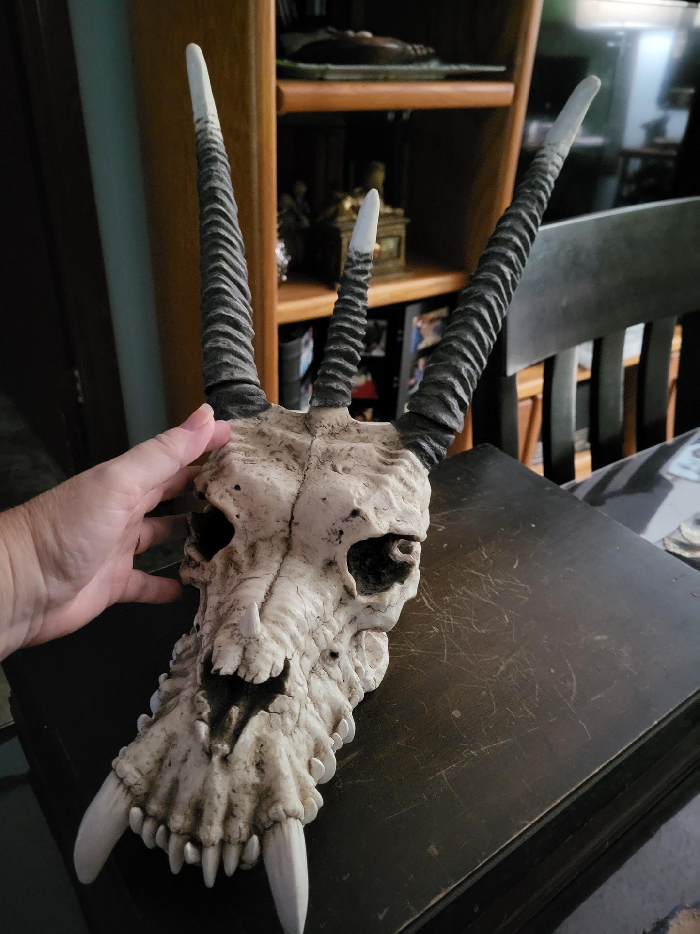 Dragon Skull
