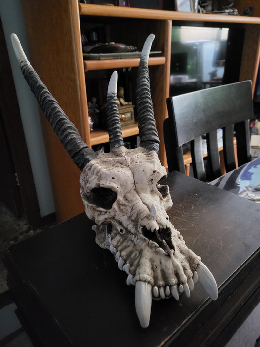 Dragon Skull