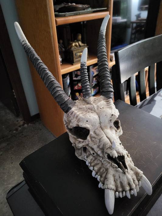 Dragon Skull